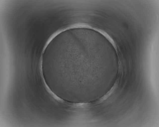 X0000114391390200910231008
