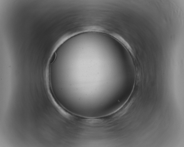 X0000114391391200910231008