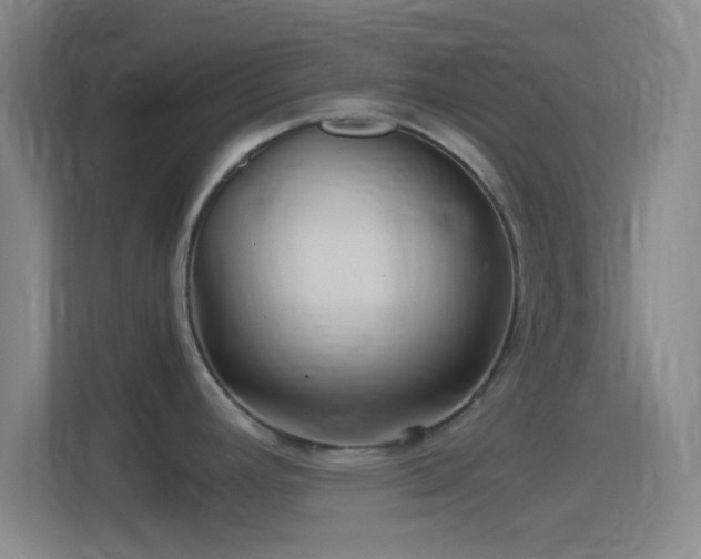 X0000114391392200910231008