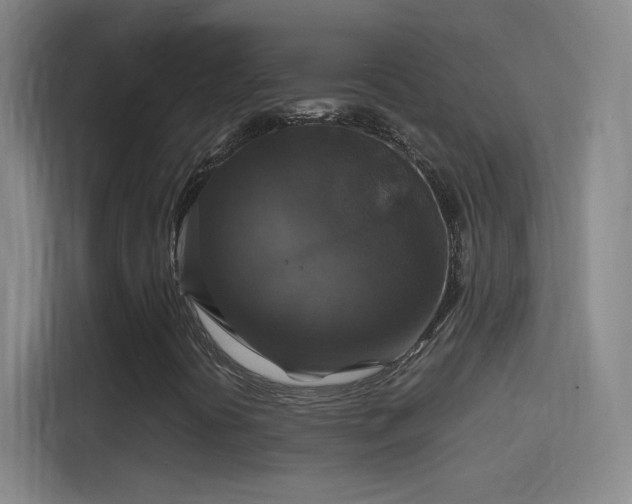 X0000114391394200910231007