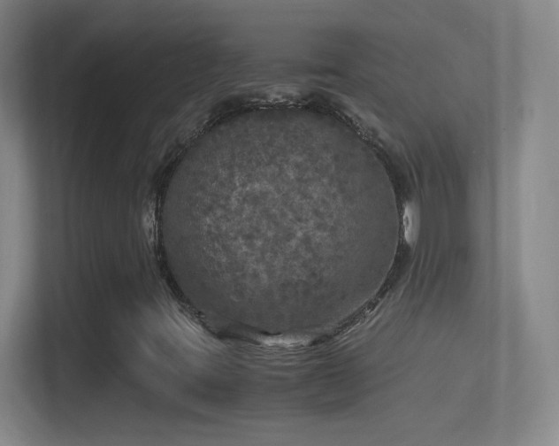 X0000114391395200910231007