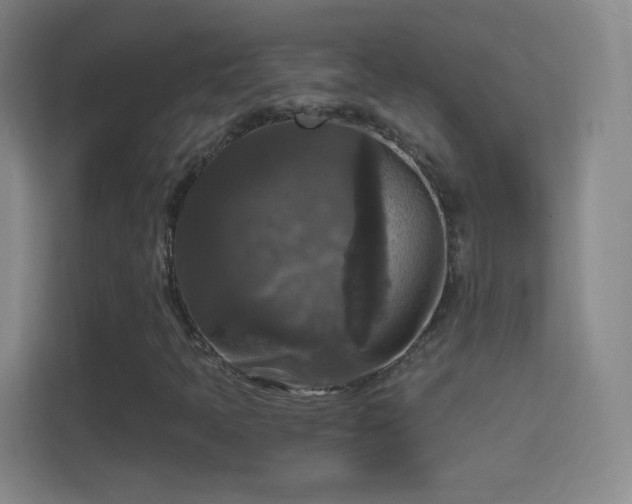 X0000114391397200910231007