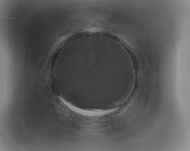 X0000114391398200910231007
