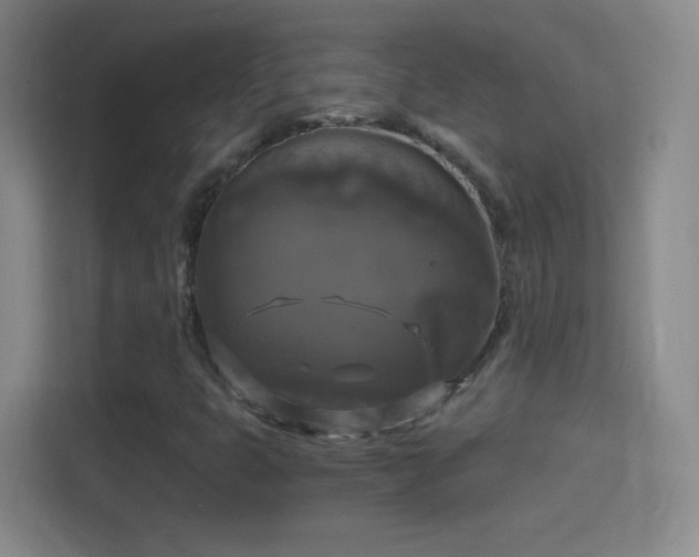 X0000114391399200910231007