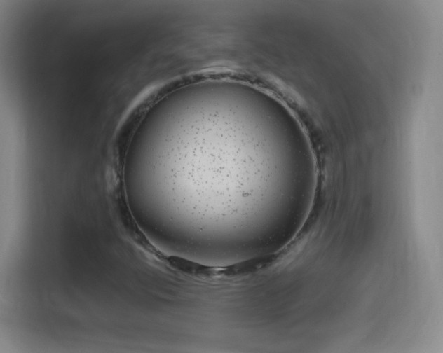 X0000114391400200910231007