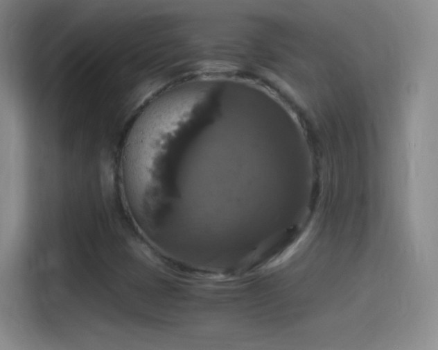 X0000114391401200910231007