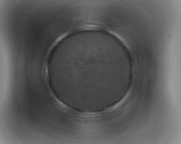 X0000114391402200910231007