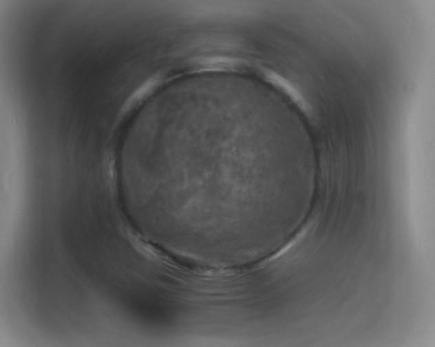 X0000114391403200910231007