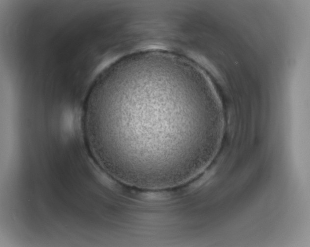 X0000114391404200910231007