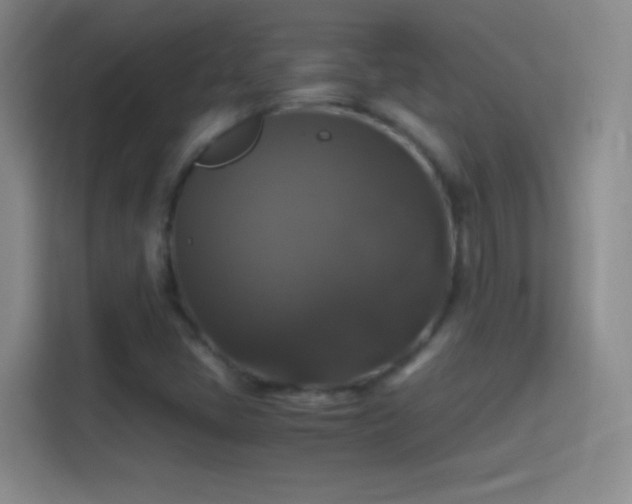 X0000114391405200910231007