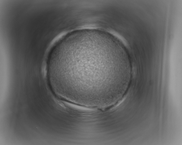 X0000114391406200910231007