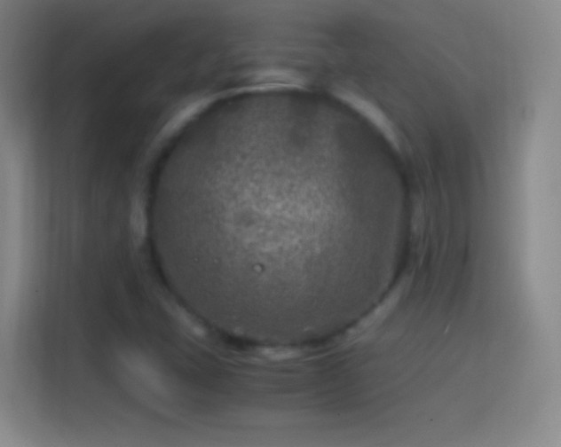 X0000114391407200910231007