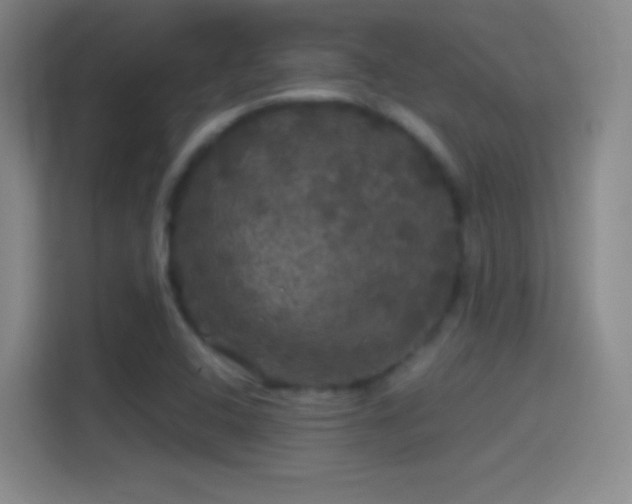 X0000114391408200910231007