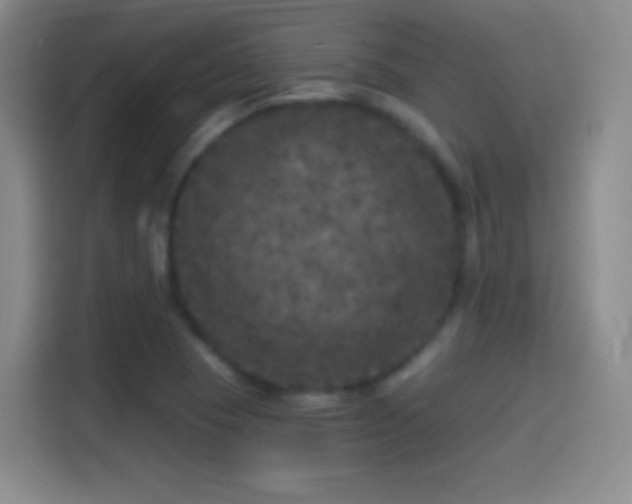 X0000114391409200910231007