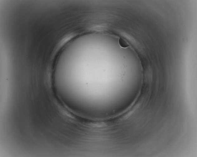 X0000114391410200910231007