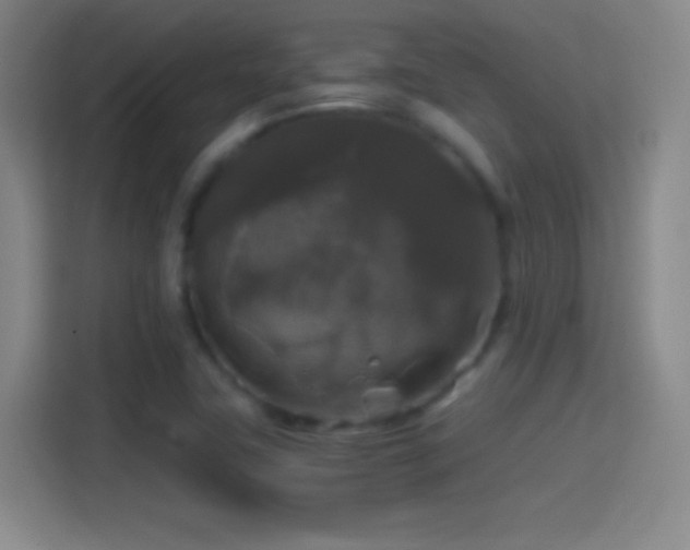 X0000114391411200910231007