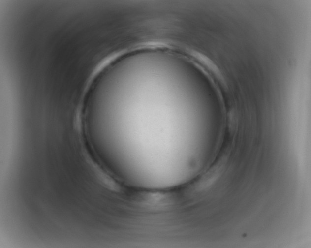 X0000114391412200910231007