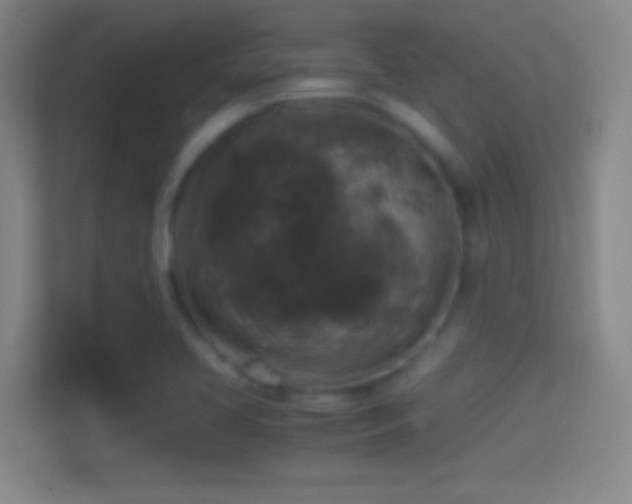 X0000114391413200910231007