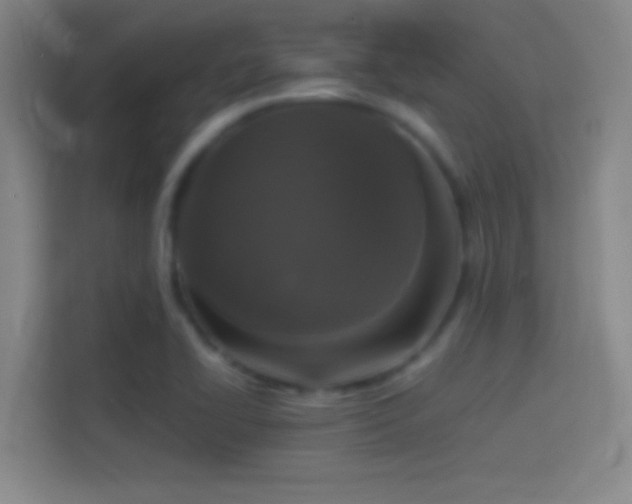 X0000114391414200910231007