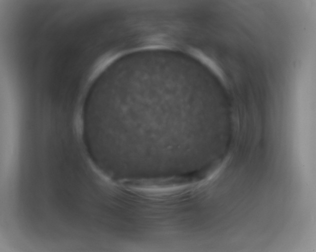 X0000114391415200910231007