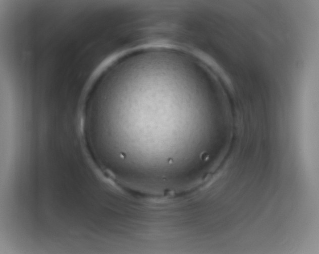 X0000114391416200910231007