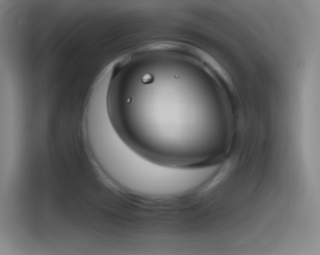 X0000114391417200910231007