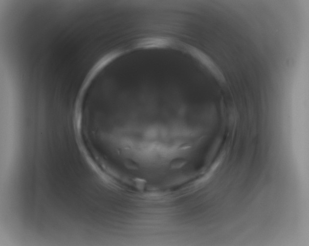 X0000114391418200910231007