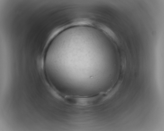 X0000114391420200910231007