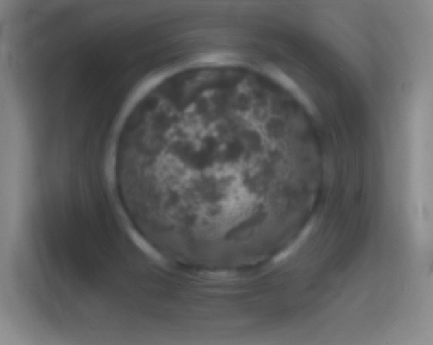 X0000114391421200910231007