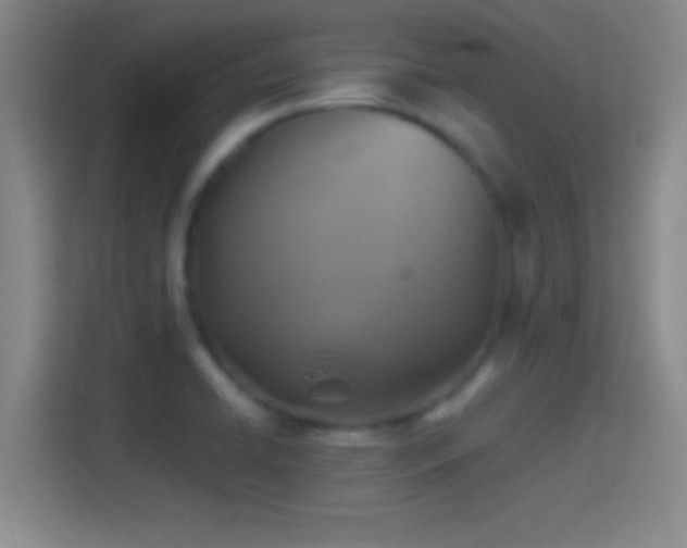 X0000114391422200910231007