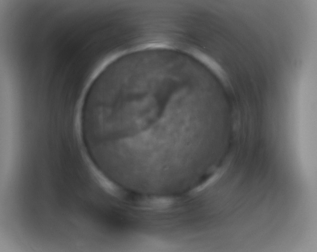 X0000114391423200910231007