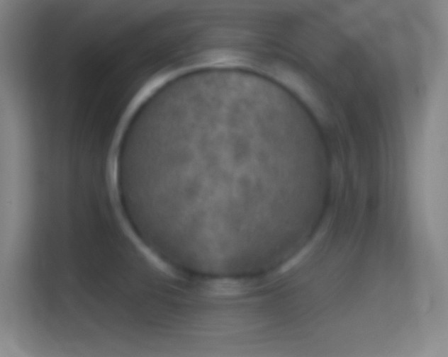 X0000114391424200910231007
