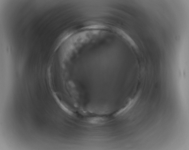 X0000114391425200910231008