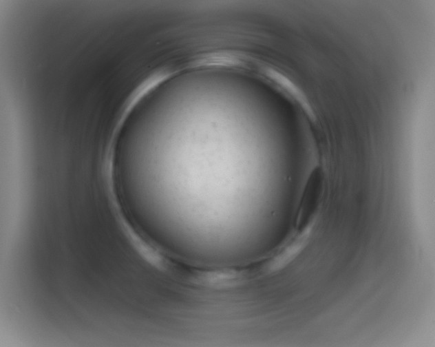 X0000114391426200910231008