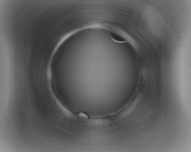 X0000114391428200910231008