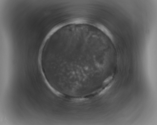 X0000114391429200910231008
