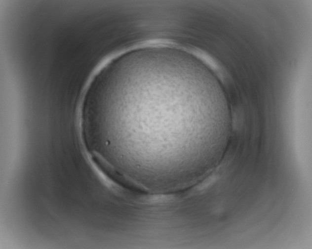 X0000114391430200910231008