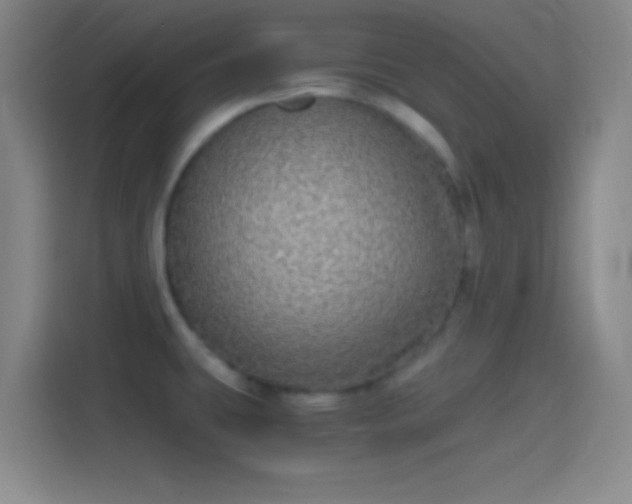 X0000114391431200910231008