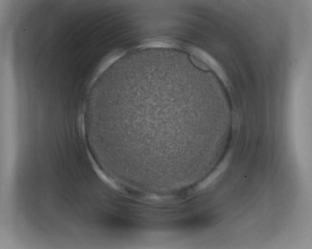 X0000114391433200910231008
