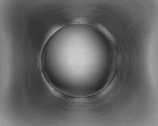 X0000114391434200910231008