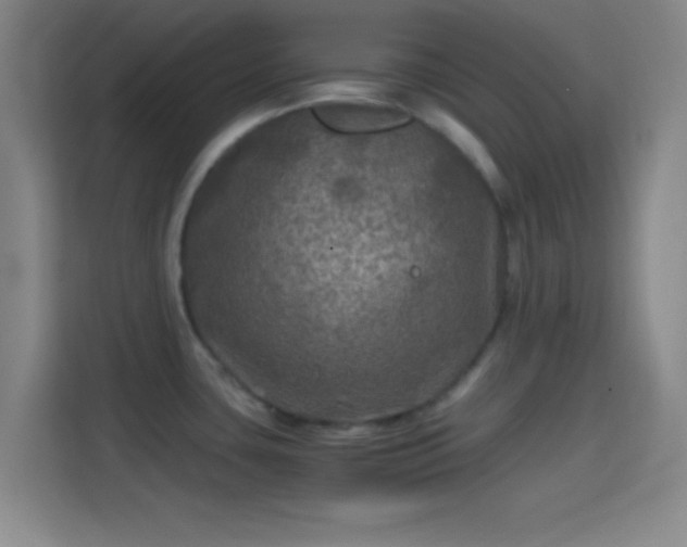 X0000114391435200910231008