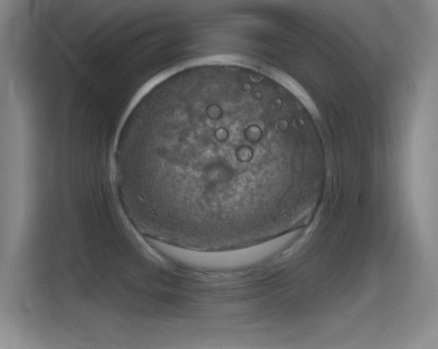 X0000114391436200910231008