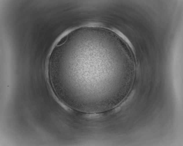 X0000114391437200910231008