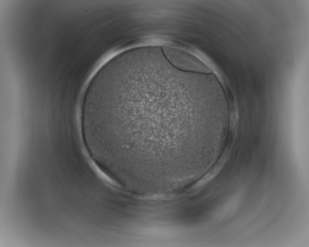 X0000114391438200910231008