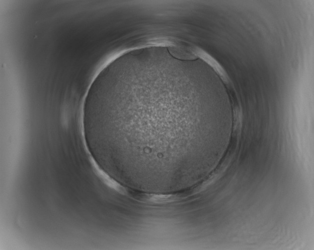X0000114391439200910231008