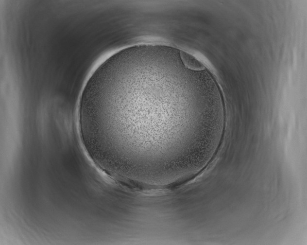 X0000114391440200910231008