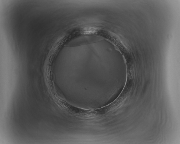 X0000114391441200910231007