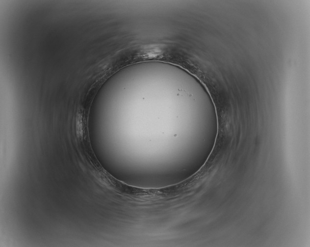X0000114391442200910231007