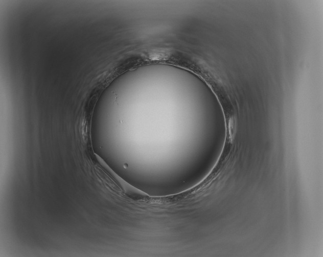 X0000114391443200910231007