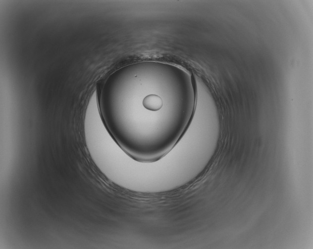 X0000114391444200910231007